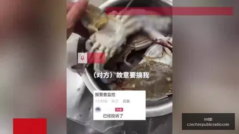足球历史铭记：足协前副秘书长金正民离世，曾组建健力宝精英队